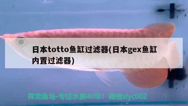日本totto鱼缸过滤器(日本gex鱼缸内置过滤器)