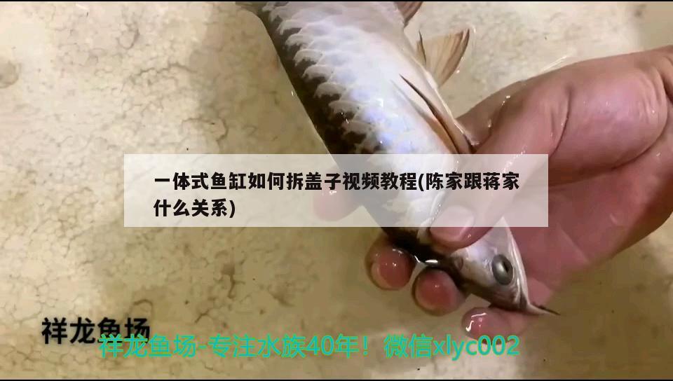 一体式鱼缸如何拆盖子视频教程(陈家跟蒋家什么关系) 福虎/异型虎鱼/纯色虎鱼