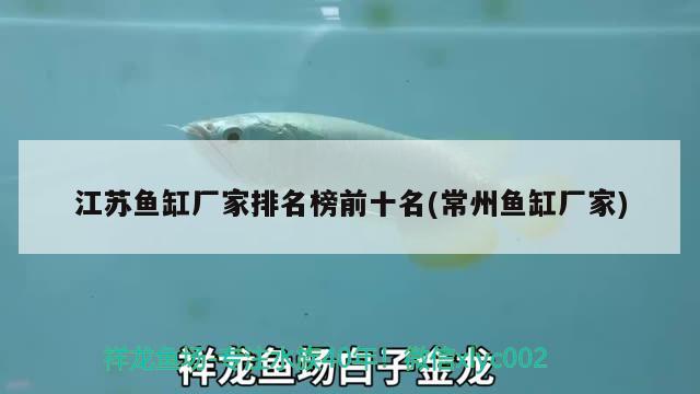 江苏鱼缸厂家排名榜前十名(常州鱼缸厂家) 白子黑帝王魟鱼