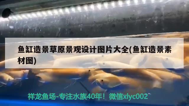 鱼缸造景草原景观设计图片大全(鱼缸造景素材图) 广州景观设计