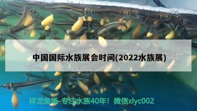 中国国际水族展会时间(2022水族展) 水族展会