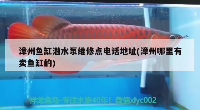 漳州鱼缸潜水泵维修点电话地址(漳州哪里有卖鱼缸的)