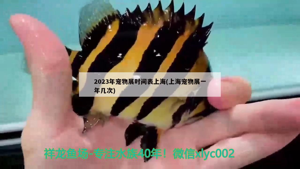 2023年宠物展时间表上海(上海宠物展一年几次) 第27届cips长城杯宠物水族博览会cips2023