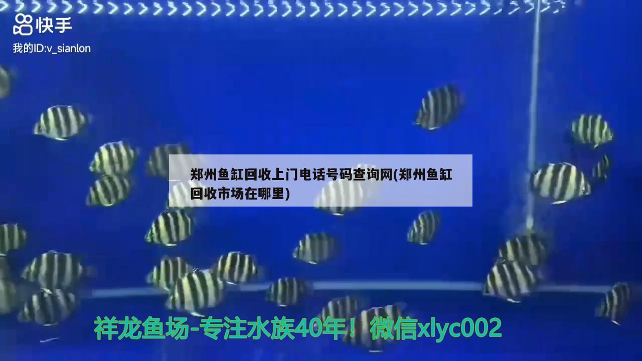 郑州鱼缸回收上门电话号码查询网(郑州鱼缸回收市场在哪里)