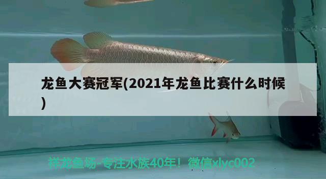龙鱼大赛冠军(2021年龙鱼比赛什么时候) 第27届cips长城杯宠物水族博览会cips2023