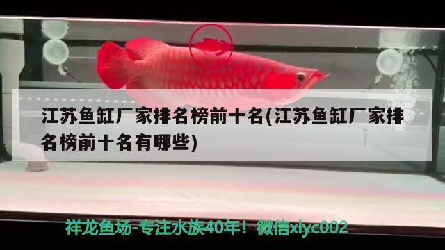 江苏鱼缸厂家排名榜前十名(江苏鱼缸厂家排名榜前十名有哪些) 野彩鱼