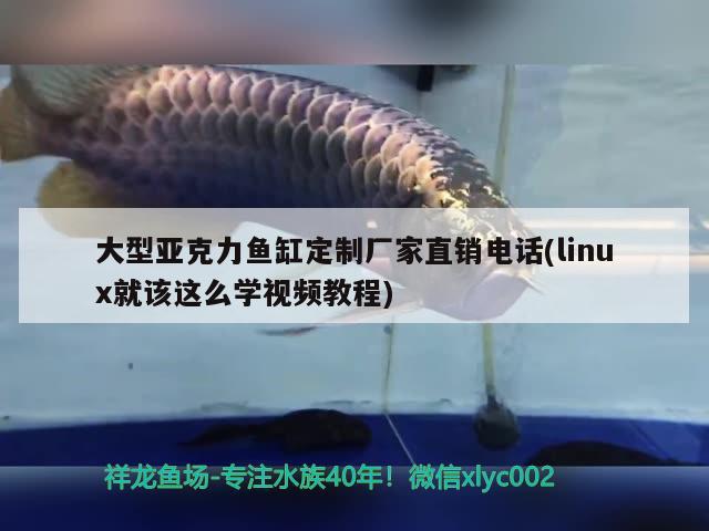 大型亚克力鱼缸定制厂家直销电话(linux就该这么学视频教程) 细线银版鱼