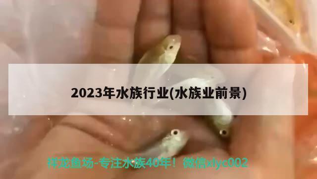 2023年水族行业(水族业前景) 第27届cips长城杯宠物水族博览会cips2023