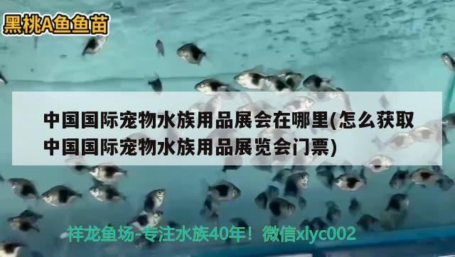 中国国际宠物水族用品展会在哪里(怎么获取中国国际宠物水族用品展览会门票) 水族用品