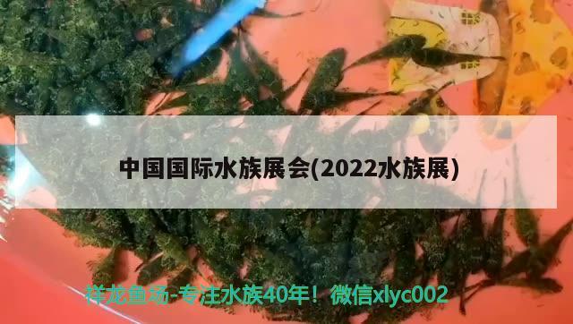 中国国际水族展会(2022水族展) 水族展会