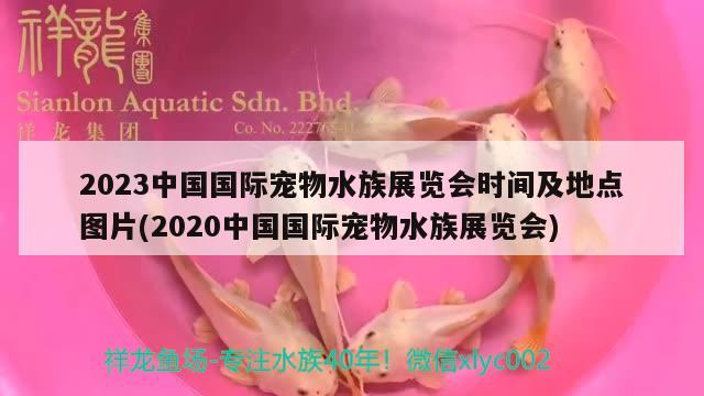 2023中国国际宠物水族展览会时间及地点图片(2020中国国际宠物水族展览会) 水族展会
