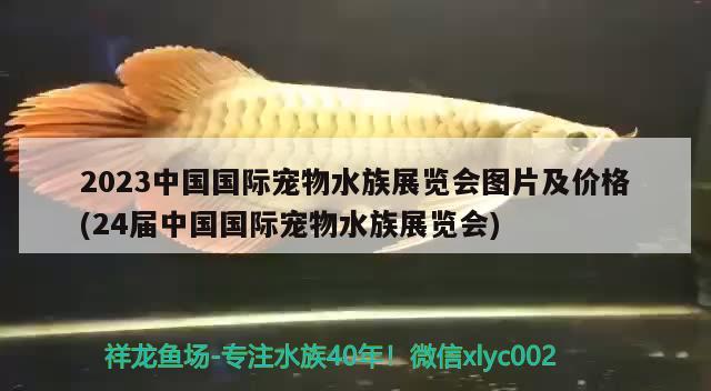 2023中国国际宠物水族展览会图片及价格(24届中国国际宠物水族展览会)