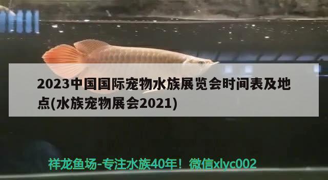 2023中国国际宠物水族展览会时间表及地点(水族宠物展会2021) 水族展会