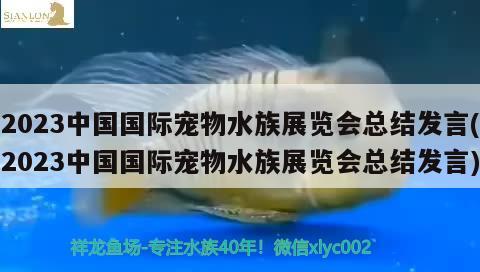 2023中国国际宠物水族展览会总结发言(2023中国国际宠物水族展览会总结发言) 水族展会