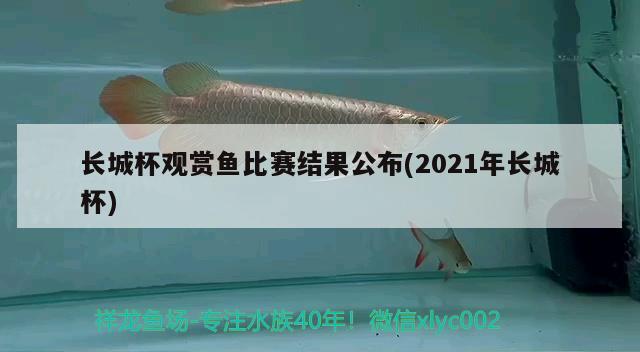 长城杯观赏鱼比赛结果公布(2021年长城杯) cips2024第28届cips长城杯宠物水族博览会