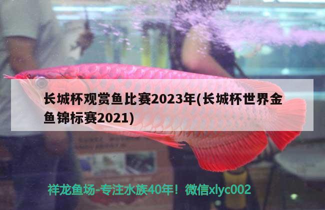 长城杯观赏鱼比赛2023年(长城杯世界金鱼锦标赛2021) cips2024第28届cips长城杯宠物水族博览会
