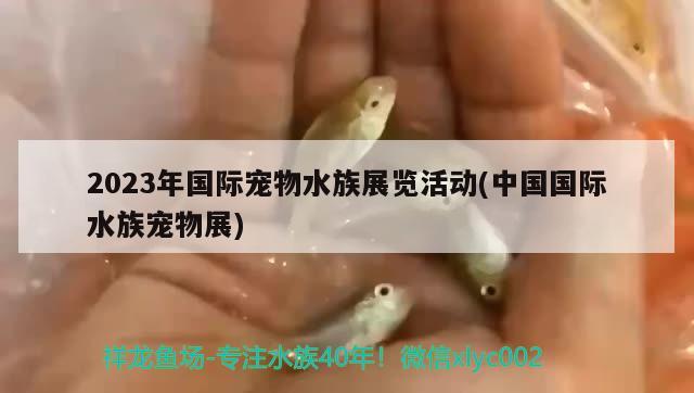 2023年国际宠物水族展览活动(中国国际水族宠物展)