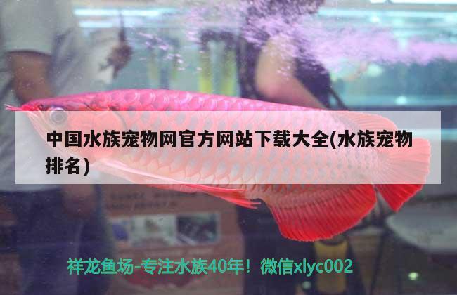 中国水族宠物网官方网站下载大全(水族宠物排名) 第27届cips长城杯宠物水族博览会cips2023