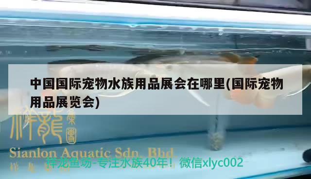 中国国际宠物水族用品展会在哪里(国际宠物用品展览会) 水族用品
