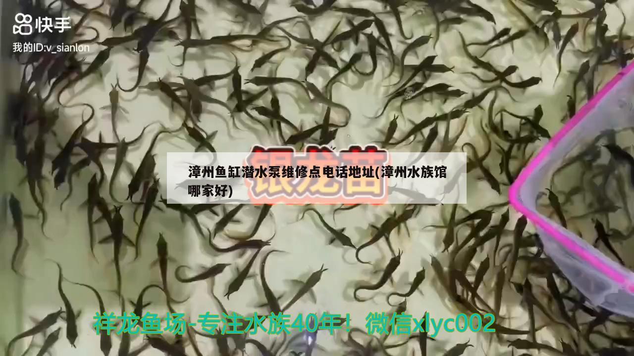 漳州鱼缸潜水泵维修点电话地址(漳州水族馆哪家好)