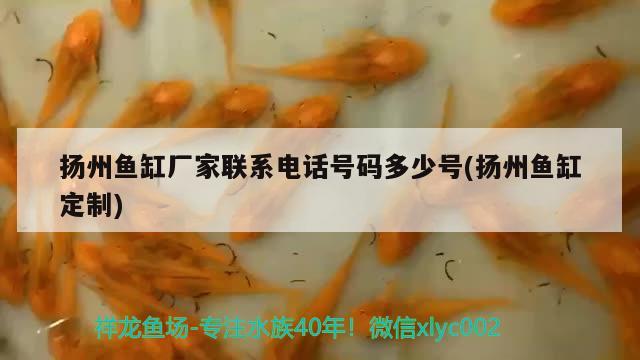 扬州鱼缸厂家联系电话号码多少号(扬州鱼缸定制)
