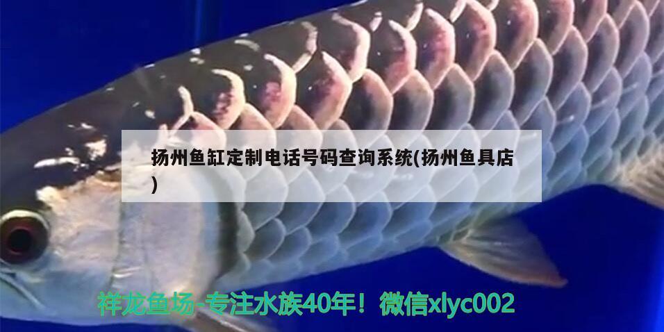 扬州鱼缸定制电话号码查询系统(扬州鱼具店)