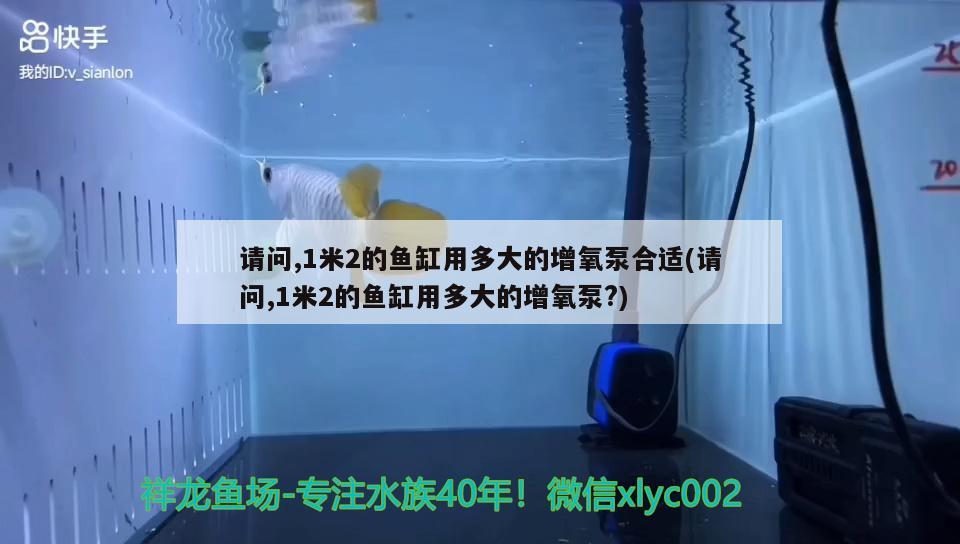 请问,1米2的鱼缸用多大的增氧泵合适(请问,1米2的鱼缸用多大的增氧泵?) 观赏鱼百科