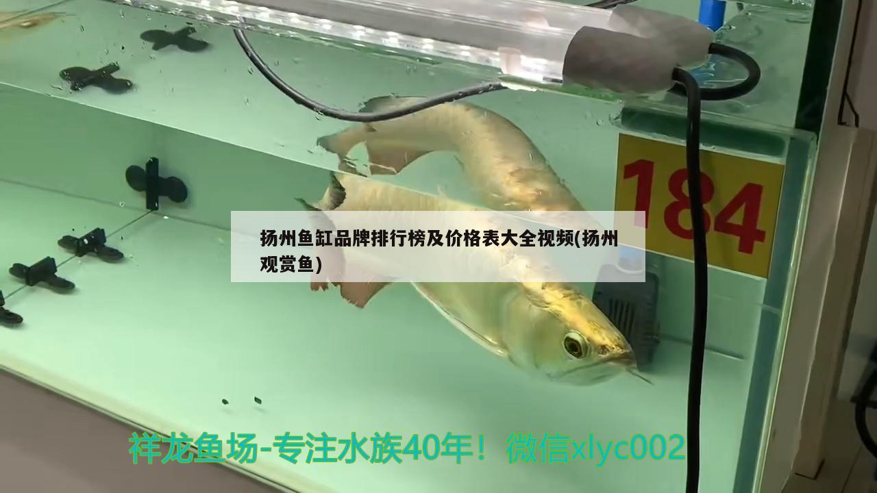 扬州鱼缸品牌排行榜及价格表大全视频(扬州观赏鱼)