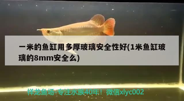 一米的鱼缸用多厚玻璃安全性好(1米鱼缸玻璃的8mm安全么) 黄金鸭嘴鱼