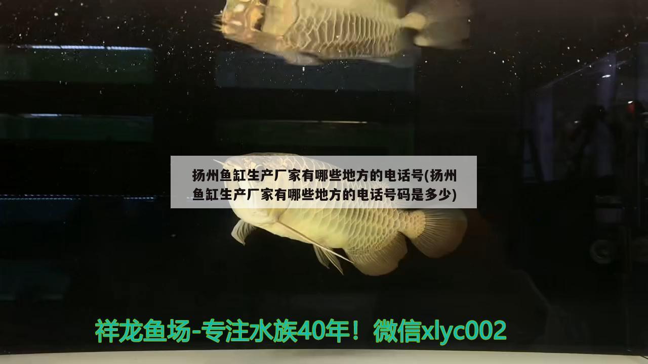 扬州鱼缸生产厂家有哪些地方的电话号(扬州鱼缸生产厂家有哪些地方的电话号码是多少)