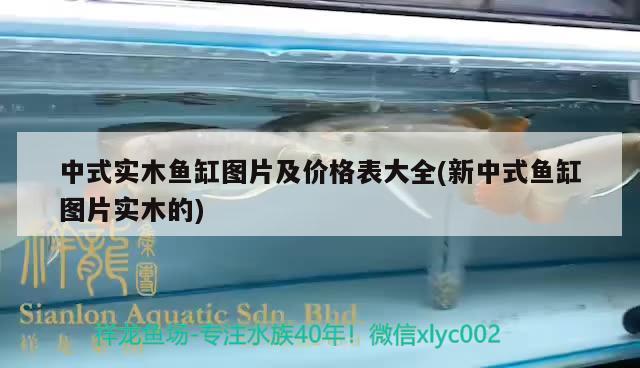 中式实木鱼缸图片及价格表大全(新中式鱼缸图片实木的) 帝王血钻