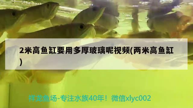 2米高鱼缸要用多厚玻璃呢视频(两米高鱼缸) 高背金龙鱼