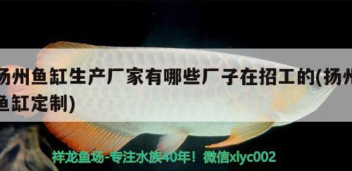 扬州鱼缸生产厂家有哪些厂子在招工的(扬州鱼缸定制)