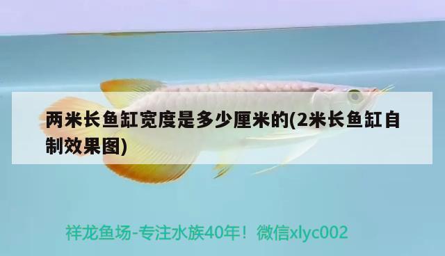 两米长鱼缸宽度是多少厘米的(2米长鱼缸自制效果图)