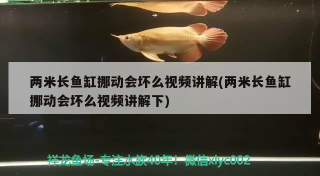 两米长鱼缸挪动会坏么视频讲解(两米长鱼缸挪动会坏么视频讲解下)