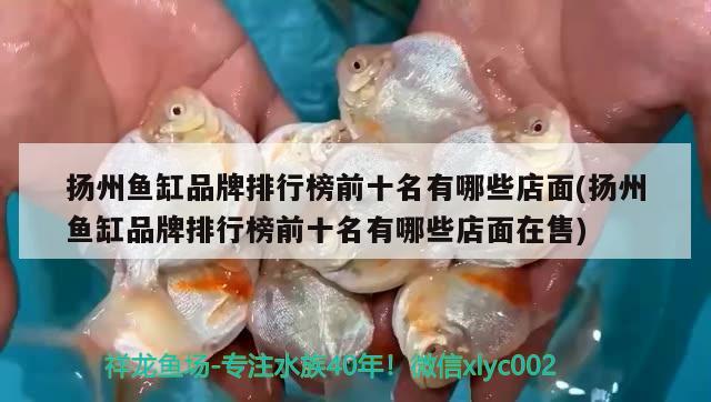 扬州鱼缸品牌排行榜前十名有哪些店面(扬州鱼缸品牌排行榜前十名有哪些店面在售)