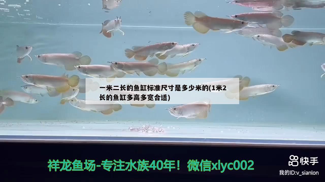 一米二长的鱼缸标准尺寸是多少米的(1米2长的鱼缸多高多宽合适) 马拉莫宝石鱼