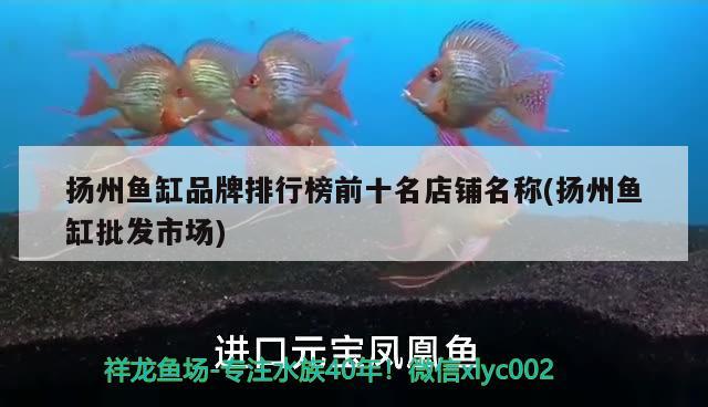 扬州鱼缸品牌排行榜前十名店铺名称(扬州鱼缸批发市场)