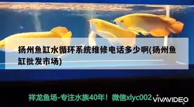 扬州鱼缸水循环系统维修电话多少啊(扬州鱼缸批发市场)