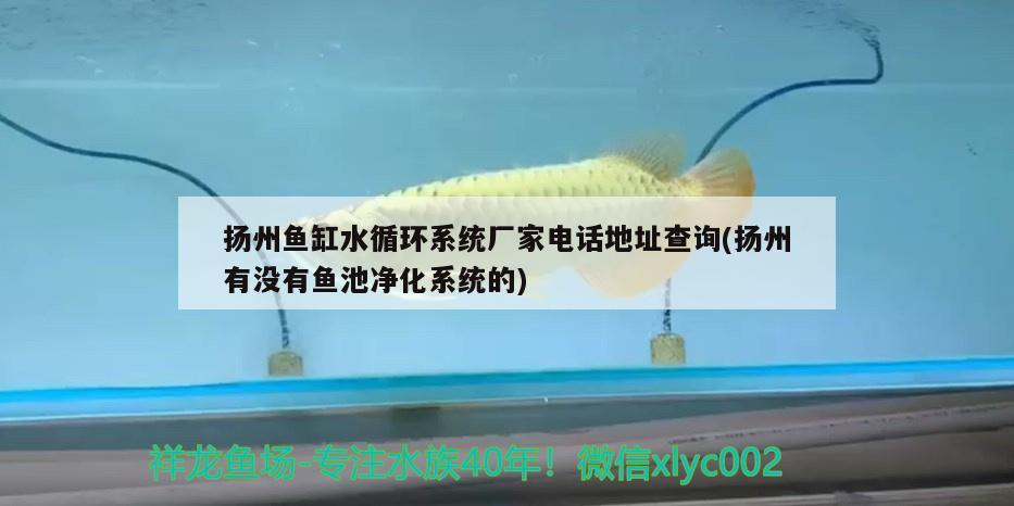 扬州鱼缸水循环系统厂家电话地址查询(扬州有没有鱼池净化系统的)