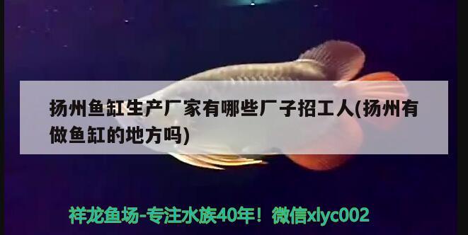 扬州鱼缸生产厂家有哪些厂子招工人(扬州有做鱼缸的地方吗) 观赏鱼水族批发市场