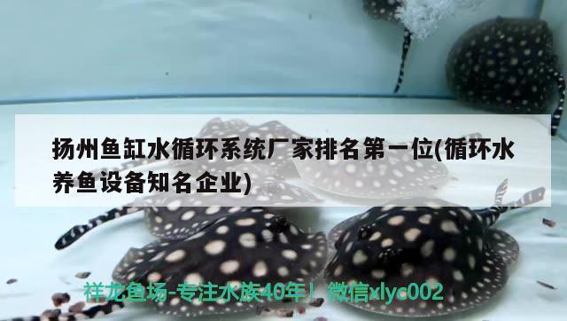 扬州鱼缸水循环系统厂家排名第一位(循环水养鱼设备知名企业) 泰庞海鲢鱼