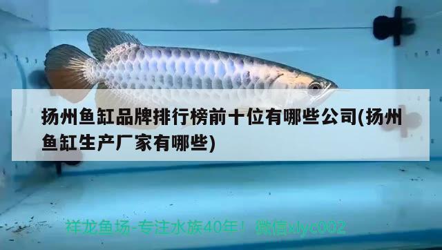 扬州鱼缸品牌排行榜前十位有哪些公司(扬州鱼缸生产厂家有哪些)