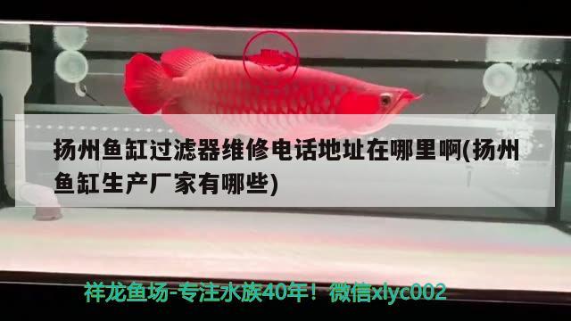 扬州鱼缸过滤器维修电话地址在哪里啊(扬州鱼缸生产厂家有哪些) 硝化细菌