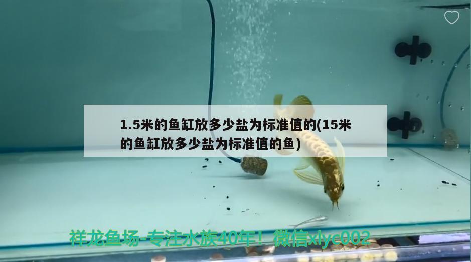 1.5米的鱼缸放多少盐为标准值的(15米的鱼缸放多少盐为标准值的鱼) 巨骨舌鱼