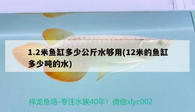 1.2米鱼缸多少公斤水够用(12米的鱼缸多少吨的水)