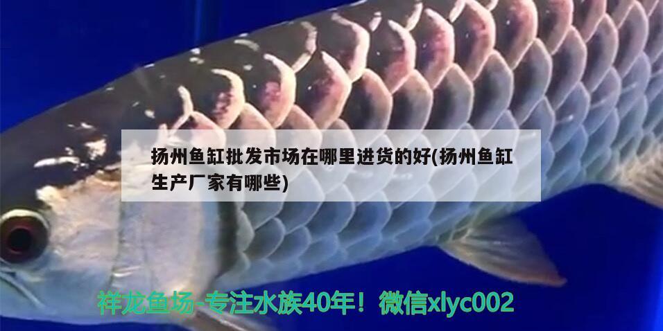 扬州鱼缸批发市场在哪里进货的好(扬州鱼缸生产厂家有哪些)