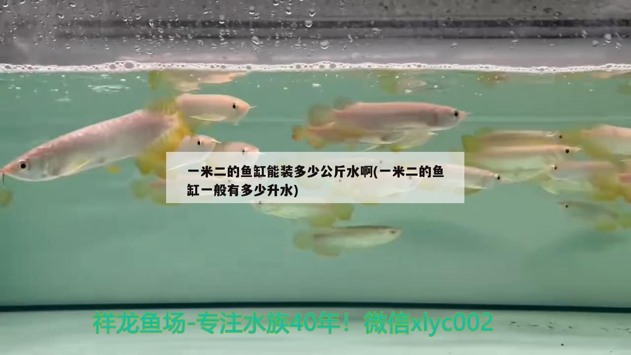 一米二的鱼缸能装多少公斤水啊(一米二的鱼缸一般有多少升水) 水族品牌