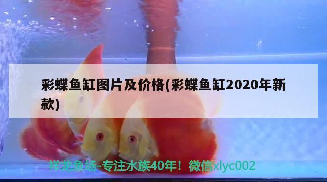 彩蝶鱼缸图片及价格(彩蝶鱼缸2020年新款) 彩鲽鱼缸（彩蝶鱼缸）