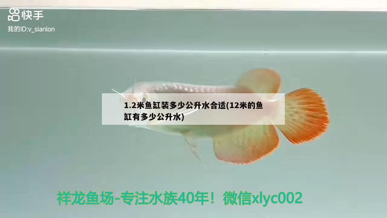 1.2米鱼缸装多少公升水合适(12米的鱼缸有多少公升水)